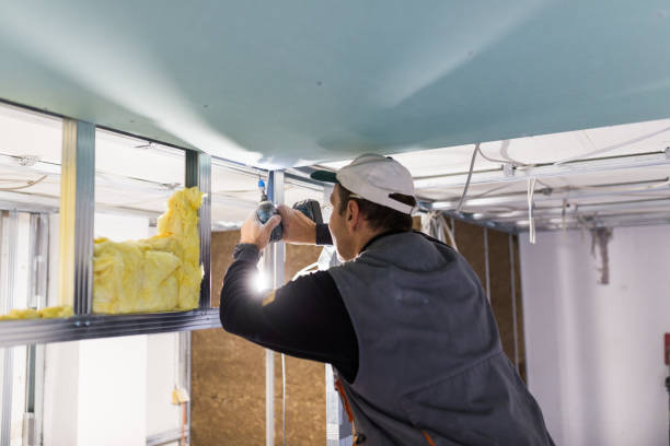 Best Specialized Insulation Services in Lake Park, GA