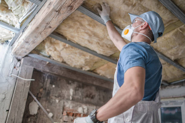 Best Commercial Insulation in Lake Park, GA
