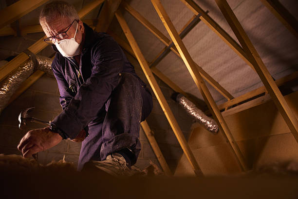 Best Eco-Friendly Insulation in Lake Park, GA